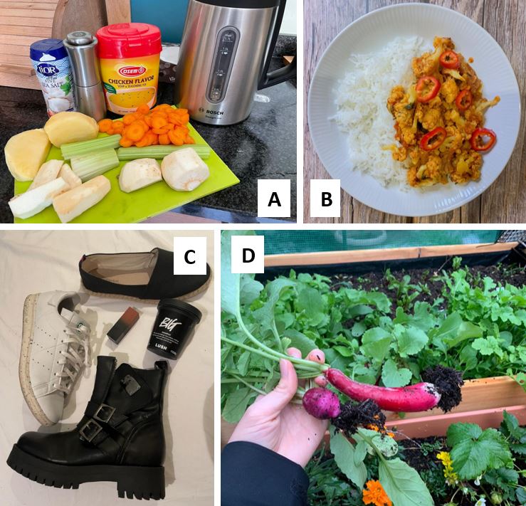Example of participants' purchases (ingredients for chickenless soup, dinner, recent shoes purchases, and participant’s home garden).